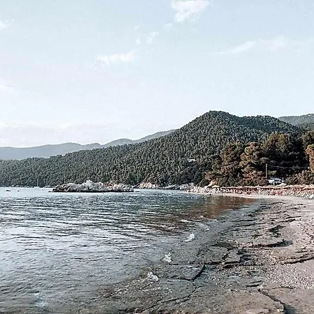 Eleni Hotel *